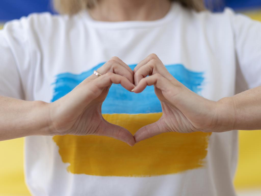 волонтерська віза в україну